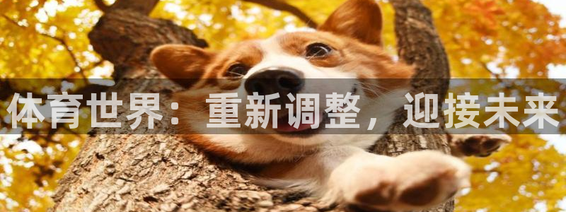 vsport体育官网下载招商电话地址查询:体育世界:重新调整