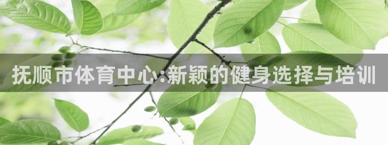 vsport体育官网下载注册:抚顺市体育中心:新颖的健身选择