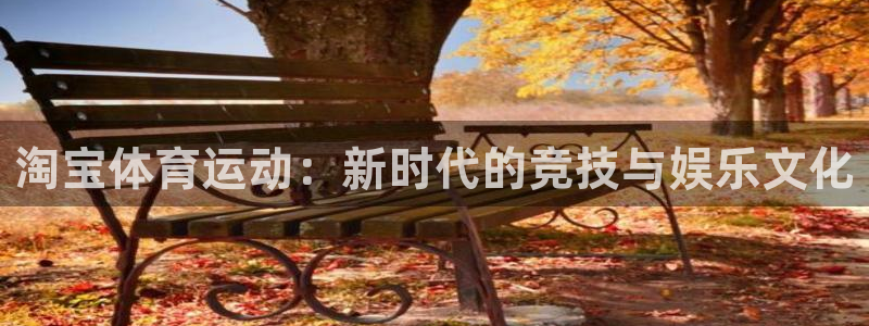 德国vsport体育官方正版app集团:淘宝体育运动:新时代