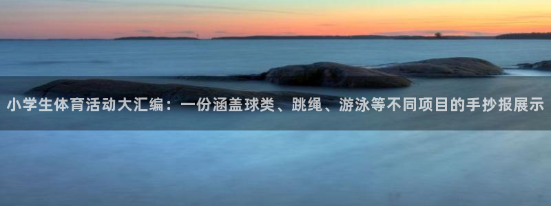 vsport体育官网下载平台是正规平台吗:小学生体育活动大汇