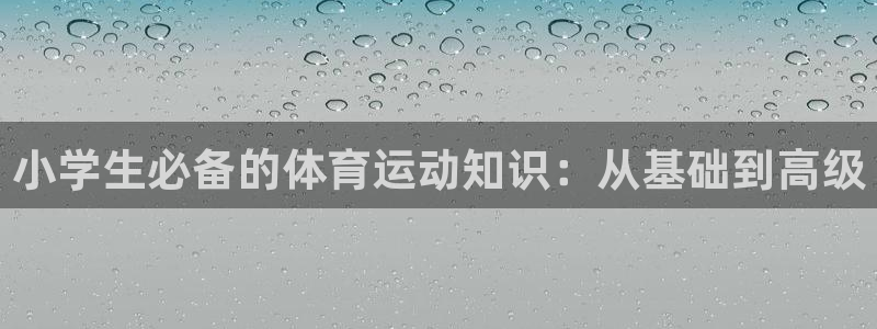 vsport体育官方正版app娱乐:小学生必备的体育运动知识