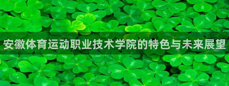 vsport体育官网下载平台注册流程视频:安徽体育运动职业技
