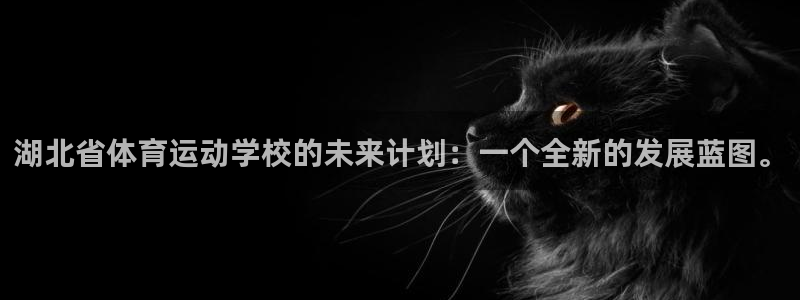 vsport体育官网下载招商:湖北省体育运动学校的未来计划: